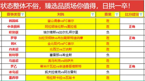 肖恩墨菲致敬肖国栋SEO优化：下一冠指日可待，独家专访心路历程